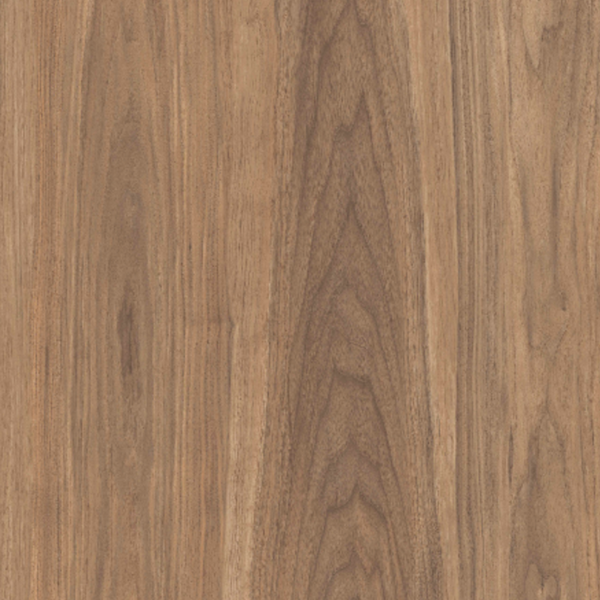 Kaman Walnut Edge Band 150 meter